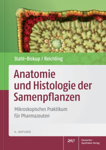 Anatomie und Histologie der Samenpflanzen 