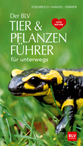 Der BLV Tier & Pflanzenführer für unterwegs